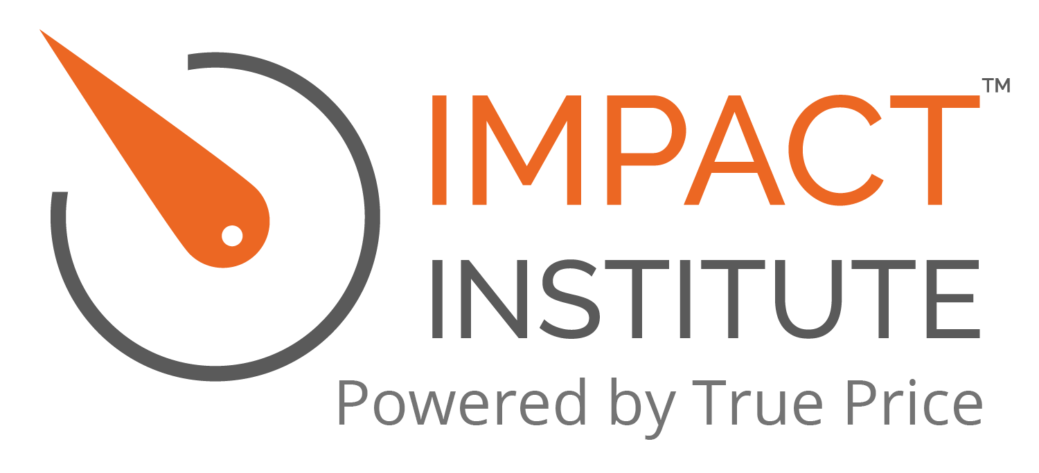 Logo Impact Institute