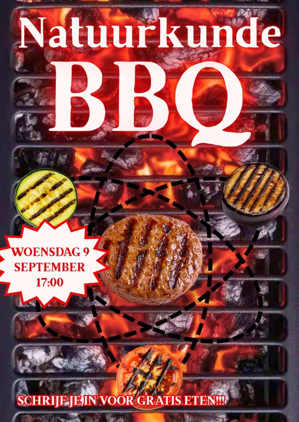 Poster Natuurkunde BBQ + Panel 2026