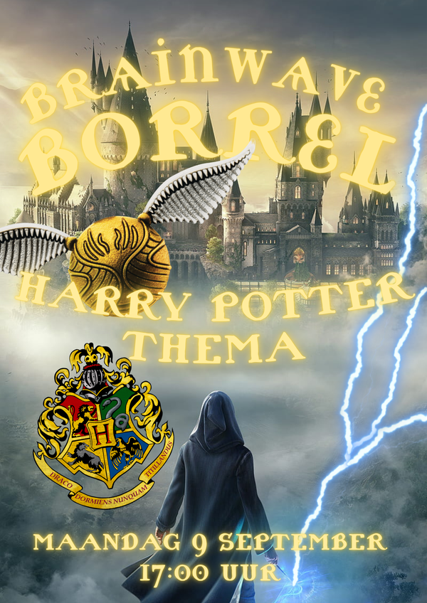 Poster Harry Potter Thema Borrel