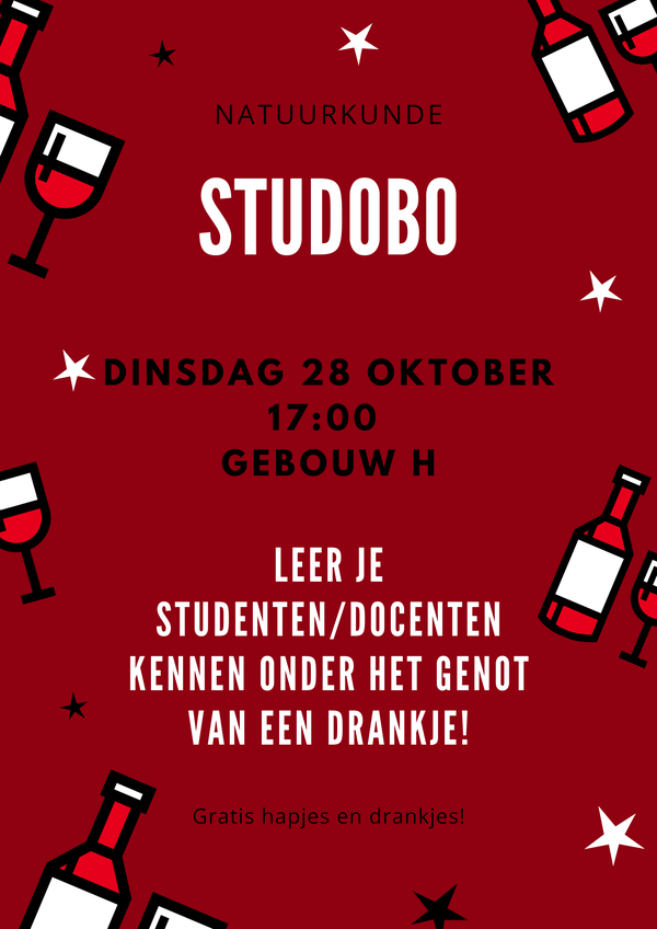 Poster StuDoBo: Physics